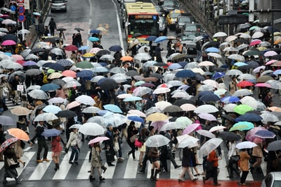 人用雨伞而穿越道路
